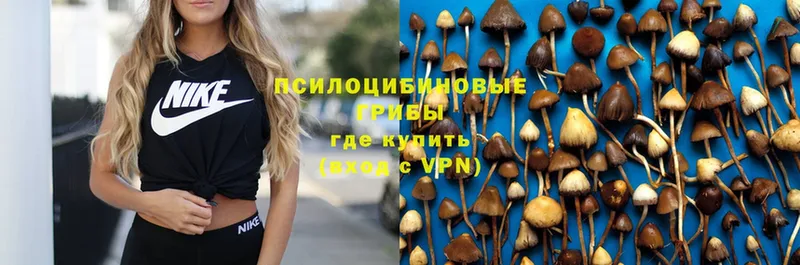 Галлюциногенные грибы Magic Shrooms  omg как зайти  Красноперекопск 